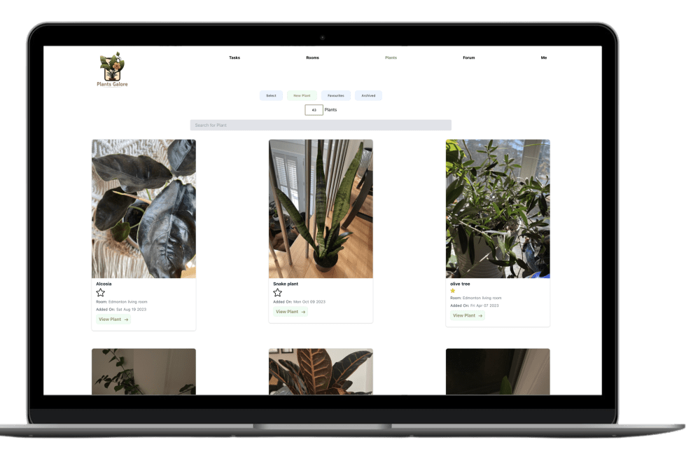 Discover Free Plant Identifier and Plant Care App Plants Galore